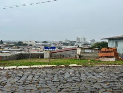 Terreno Urbano para Venda, em Curitibanos, bairro Nossa Senhora Aparecida