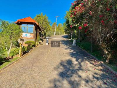 Lote para Venda, em Teres�polis, bairro Albuquerque