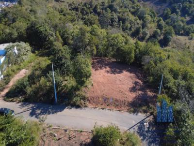 Lote para Venda, em Guanh�es, bairro Floresta Ville