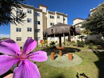 Apartamento para Venda, em Curitiba, bairro S�tio Cercado, 2 dormit�rios, 1 banheiro, 1 vaga