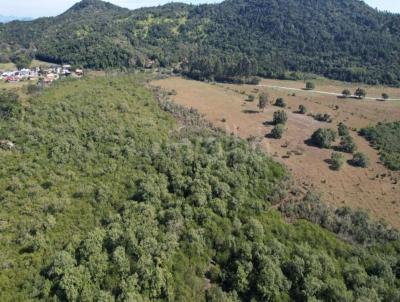 Terreno para Venda, em Florian�polis, bairro Sambaqui