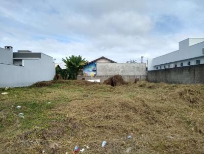 Terreno para Venda, em Barra Velha, bairro QUINTA DOS A�ORIANOS