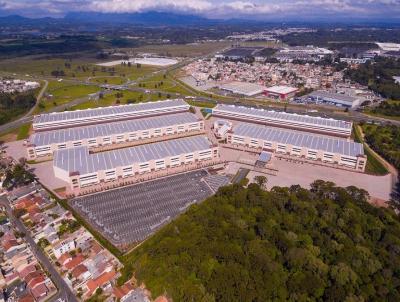 Galp�o / Barrac�o para Loca��o, em S�o Jos� dos Pinhais, bairro Roseira de S�o Sebasti�o
