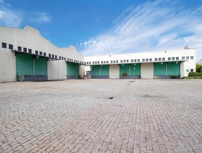 Galp�o / Barrac�o para Loca��o, em S�o Jos� dos Pinhais, bairro �guas Belas
