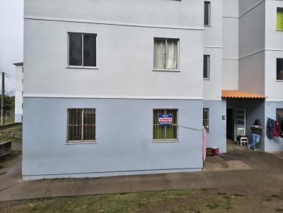 Apartamento para Loca��o, em Cangu�u, bairro Vila Nova, 2 dormit�rios, 1 banheiro