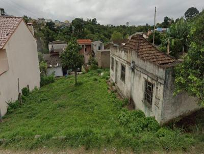 Terreno para Venda, em Cangu�u, bairro Centro