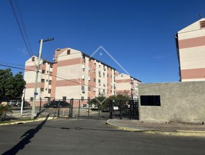 Apartamento para Venda, em Porto Alegre, bairro Rubem Berta, 2 dormit�rios, 1 banheiro, 1 vaga