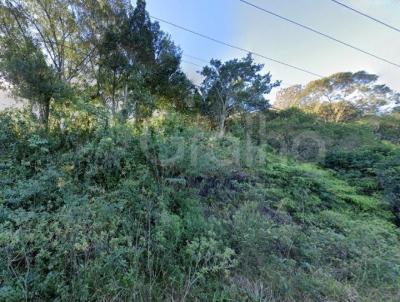 Terreno para Venda, em Florian�polis, bairro Jo�o Paulo