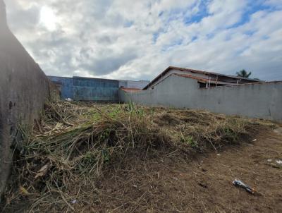 Terreno para Venda, em Peru�be, bairro Josedy