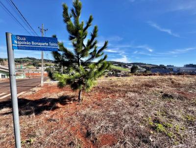 Terreno para Venda, em Xanxer�, bairro Nossa senhora de fatima