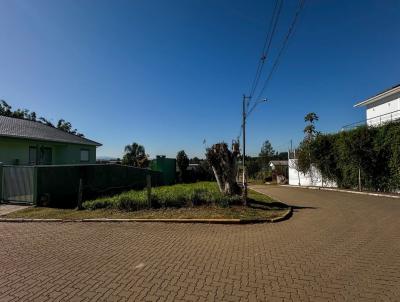 Terreno para Venda, em , bairro Centro