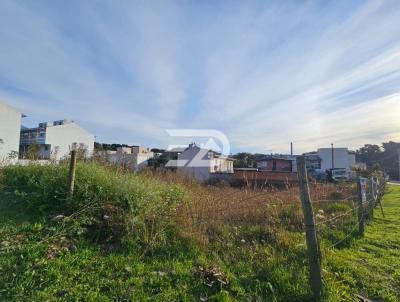 Terreno para Venda, em Caxias do Sul, bairro Ana Rech