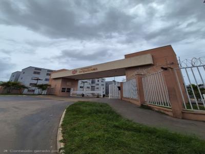 Apartamento para Venda, em Aparecida de Goi�nia, bairro Vila Oliveira, 2 dormit�rios, 1 banheiro, 1 vaga