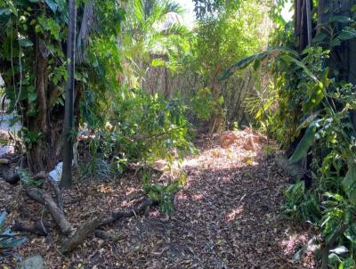 Terreno para Venda, em Lauro de Freitas, bairro Ipitanga