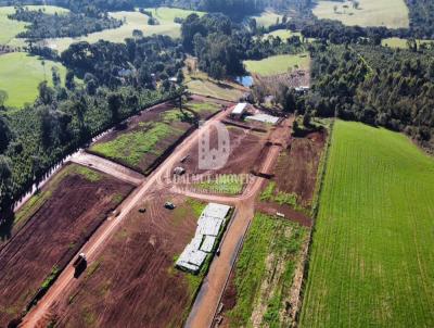 Terreno para Venda, em Erechim, bairro esperan�a