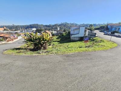 Terreno para Venda, em Rio Negrinho, bairro CENTRO