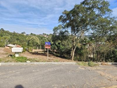 Terreno para Venda, em Rio Negrinho, bairro VILA NOVA