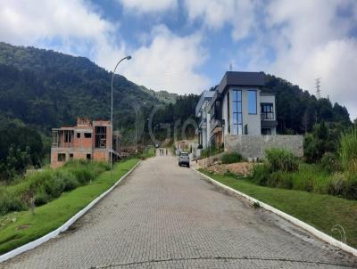 Terreno para Venda, em Florian�polis, bairro Itacorubi