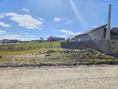 Terreno para Venda, em Rio Negrinho, bairro S�O PEDRO