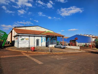 Lote para Venda, em Pitangueiras, bairro Distrito Industrial Alfredo Marim Bertoni