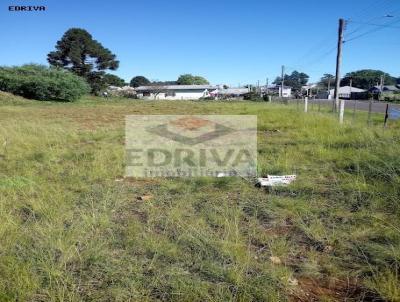 Terreno para Venda, em Vacaria, bairro Jardim dos Pampas
