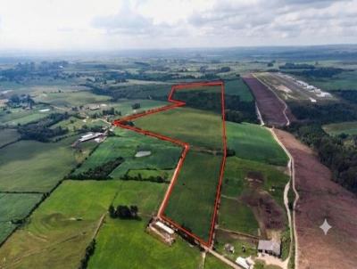 �rea para Venda, em Palmeira, bairro Col�nia Witmarsum