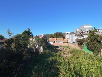 Terreno para Venda, em , bairro Ferraz