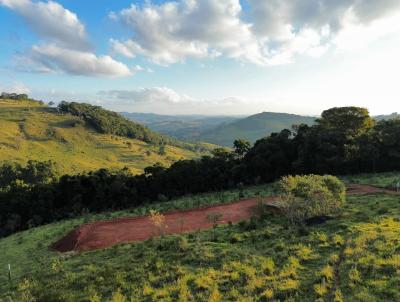 Terreno para Venda, em Toledo, bairro 
