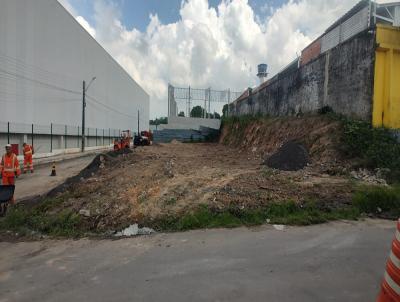 Terreno para Venda, em Manaus, bairro Av. das Torres