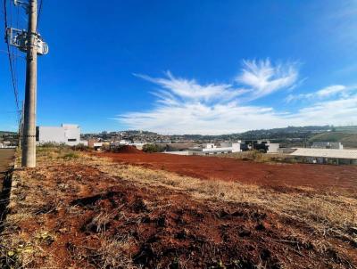 Terreno para Venda, em Xanxer�, bairro S�o Jorge