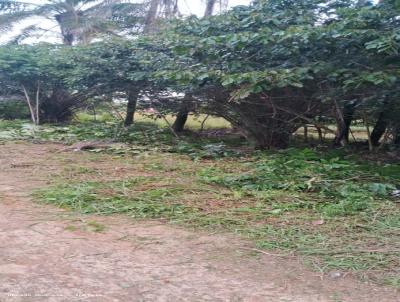 Terreno para Venda, em , bairro Luzimares pr�ximo a praia