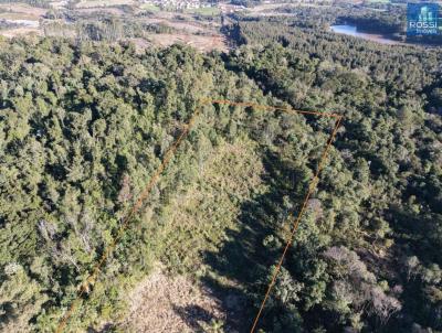 Ch�cara para Venda, em Erechim, bairro Paiol Grande