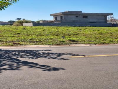 Terreno Residencial para Venda, em Paul�nia, bairro BETEL