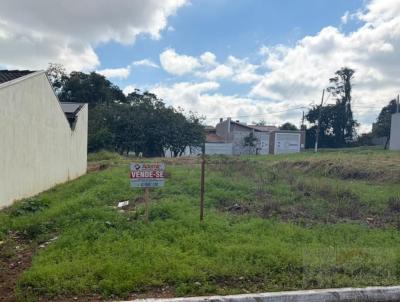 Terreno para Venda, em Santo Ant�nio da Platina, bairro Residencial Roberto Renn�