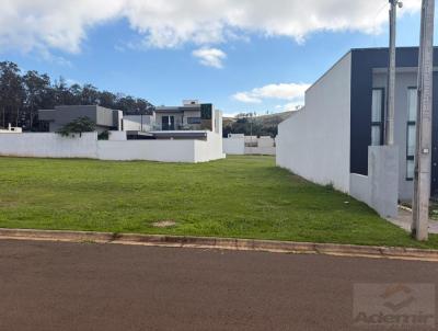 Terreno para Venda, em Santo Ant�nio da Platina, bairro Residencial Maria Tereza Renn� (Condom�nio)