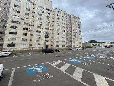 Apartamento para Venda, em S�o Lu�s, bairro Olho D`�gua, 2 dormit�rios, 1 banheiro, 1 vaga