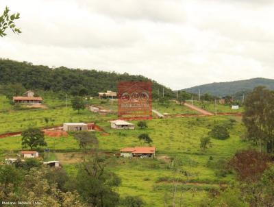 Ch�cara para Venda, em Florestal, bairro 