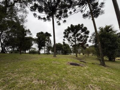 Terreno Rural para Venda, em S�o Mateus do Sul, bairro Lajeado
