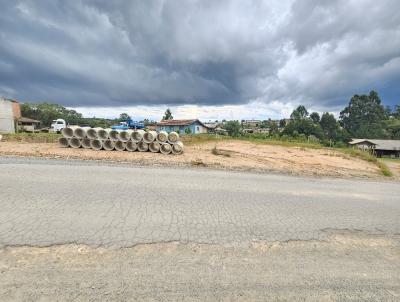Terreno para Venda, em Rio Negrinho, bairro CAMPO LEN�OL