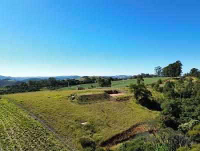 Terreno Rural para Venda, em Toledo, bairro 