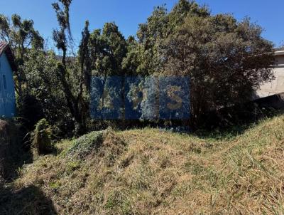 Lote para Venda, em Brumadinho, bairro Piedade do Paraopeba