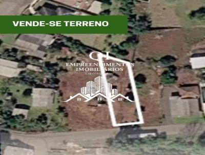 Lote para Venda, em Viadutos, bairro Centro