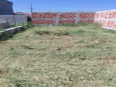 Terreno para Venda, em Pindamonhangaba, bairro Residencial e Comercial Portal dos Eucaliptos