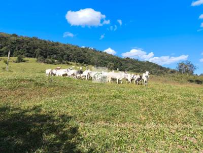 S�tio para Venda, em S�o Sebasti�o do Para�so, bairro , 3 dormit�rios, 1 banheiro