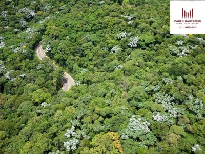 Terreno em Condom�nio para Venda, em Santana de Parna�ba, bairro Alphaville - G�nesis II