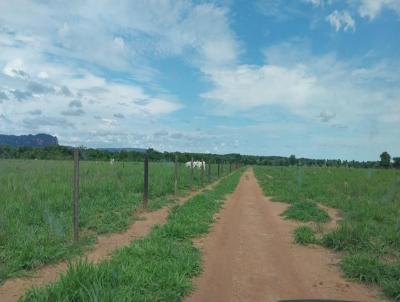 Fazenda para Venda, em Para�so das �guas, bairro 