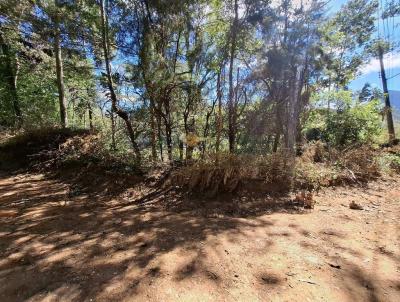 Terreno para Venda, em Teres�polis, bairro Jardim Salaco