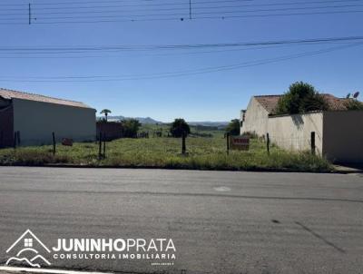 Lote para Venda, em Ipe�na, bairro Centro