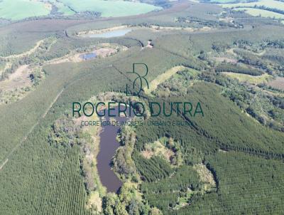 Fazenda para Venda, em Congonhinhas, bairro ZONA RURAL