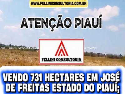 Fazenda para Venda, em Jos� de Freitas, bairro 